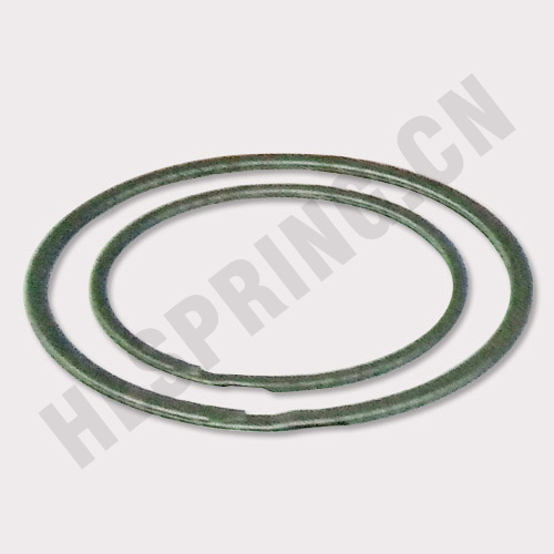 WHM-重負荷孔用擋圈-雙層